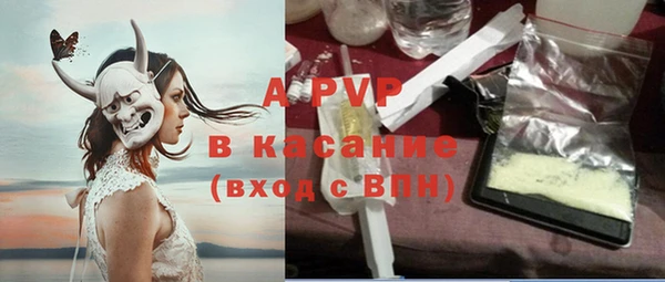 прущие грибы Новокубанск