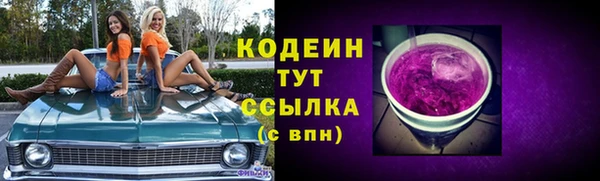 прущие грибы Верхний Тагил