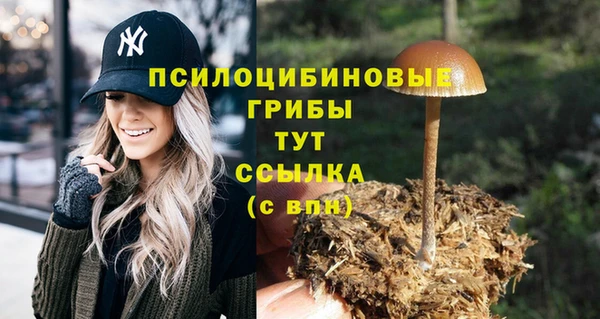 spice Новодвинск