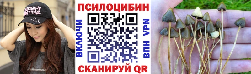 Псилоцибиновые грибы GOLDEN TEACHER Лабытнанги