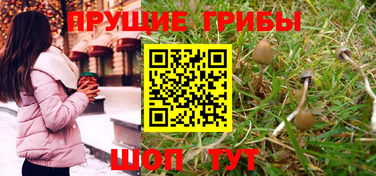 Псилоцибиновые грибы мухоморы  Лабытнанги 