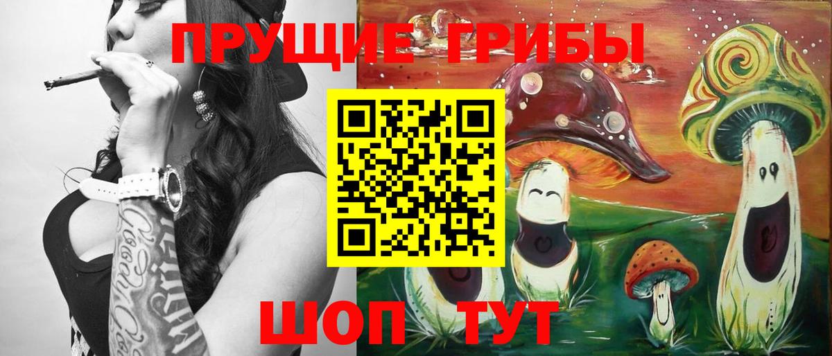 Псилоцибиновые грибы Cubensis Лабытнанги