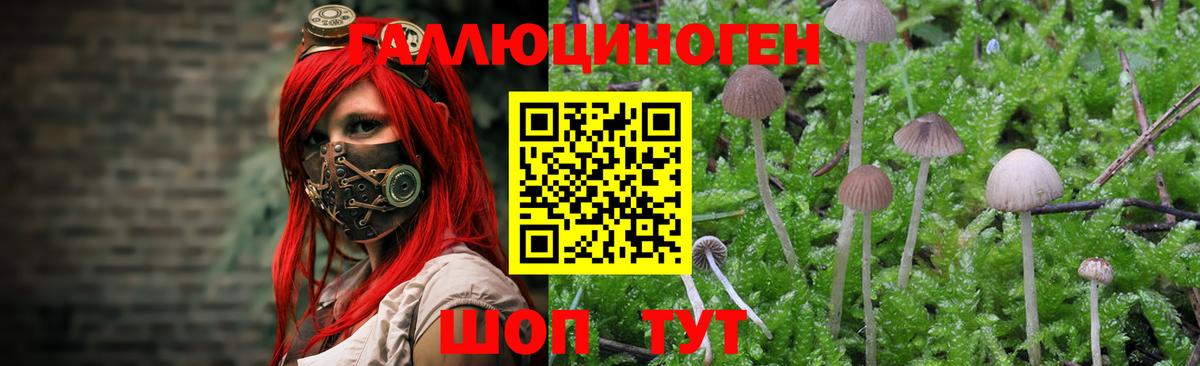 Галлюциногенные грибы прущие грибы  Псилоцибиновые грибы мицелий  Лабытнанги  дарнет шоп  Вход с VPN 