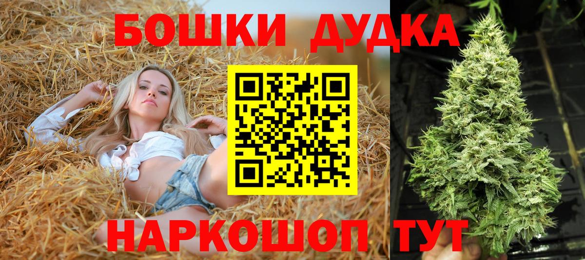  COCAIN Лабытнанги